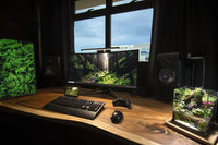 Monolyte: The Future of Desk Lighting